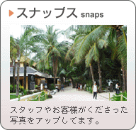 スナップス